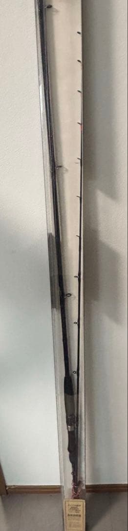 HIRAME X M-270 30-100号 40-80号　2本セット