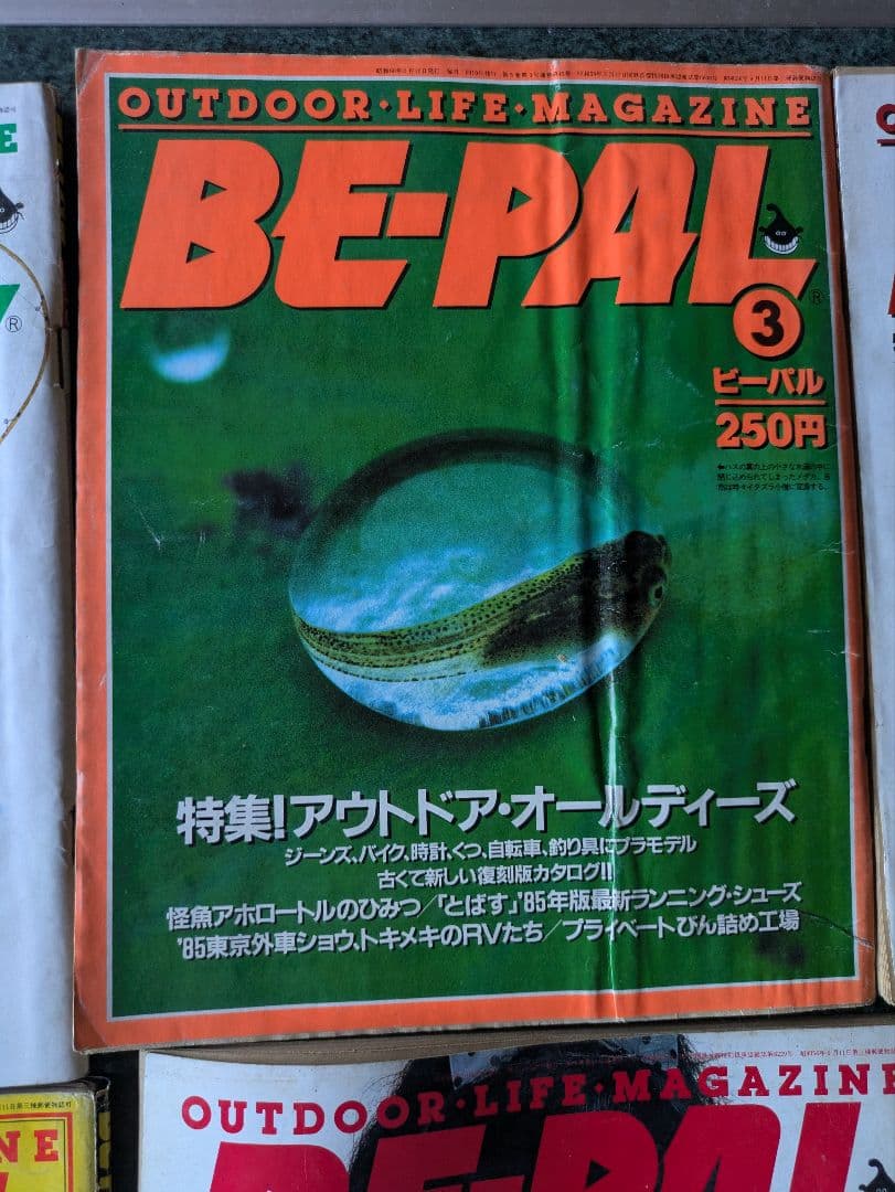 BE-PAL ビーパル　アウトドアライフマガジン　キャンプ　32冊まとめ売り