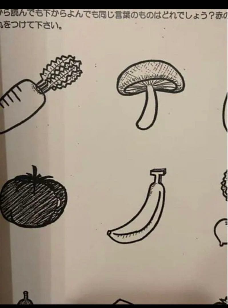 新品同様/ 小学校受験 過去問・類似問題集 難易度全レベル 即日発送