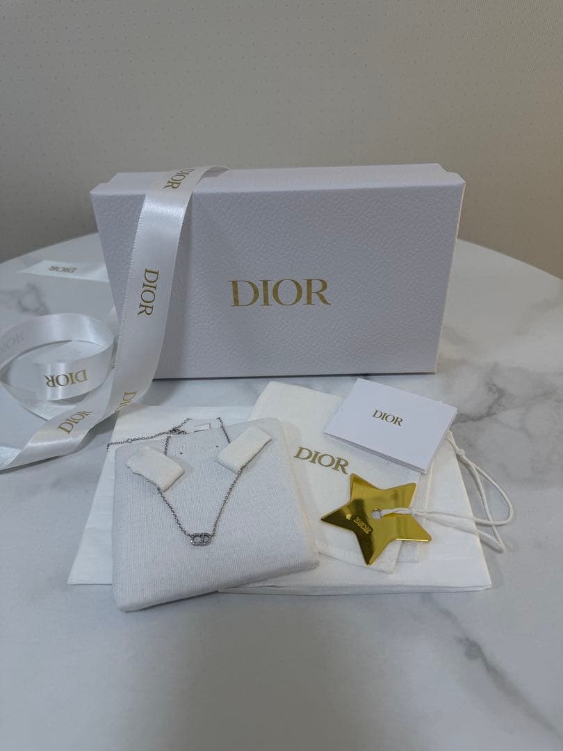 Dior シルバーチェーンネックレス