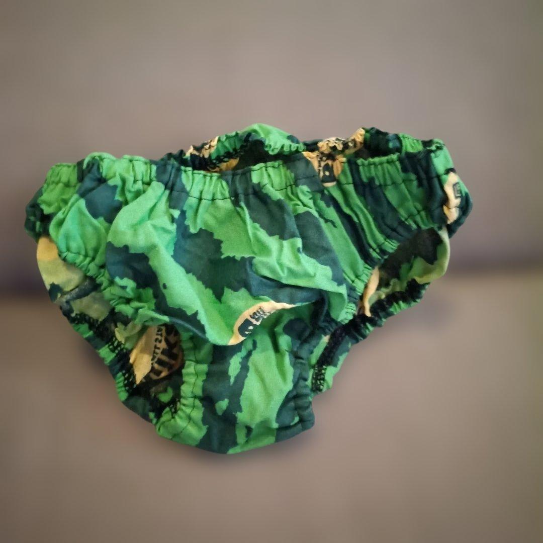 マ*ル様 サザンオールスターズ すいか 初回限定盤　CD