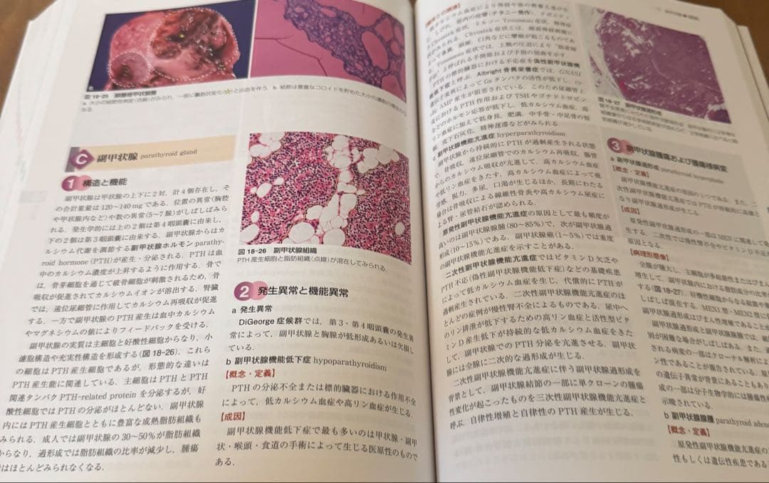 【新品未使用】標準生理学/標準病理学