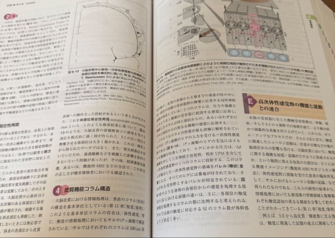 【新品未使用】標準生理学/標準病理学