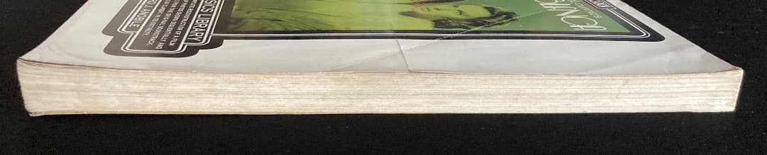 No.564『（英文）映画カサブランカ 全シーン』
