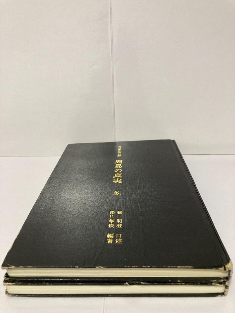 掛川掌瑛　周易の真実　乾・坤　1998年