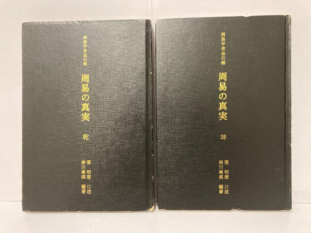掛川掌瑛　周易の真実　乾・坤　1998年