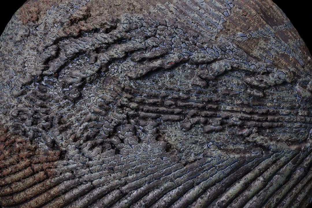 前衛陶芸家 中村錦平 作『扁壷』 共箱 栞付 オブジェ 扁壺 壺 花瓶 美術品