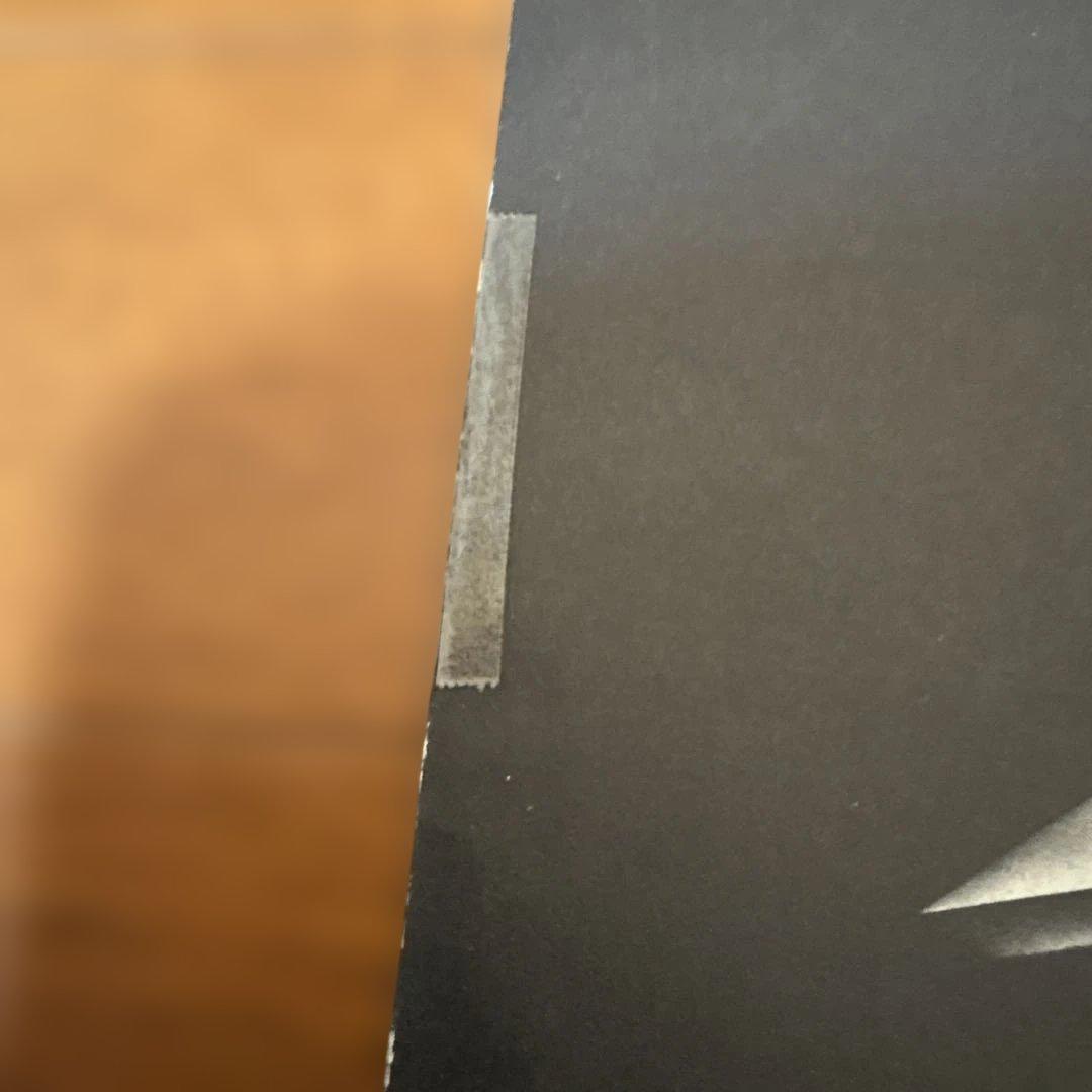 SANCTUARY/REFUGE DENIED サンクチュアリー