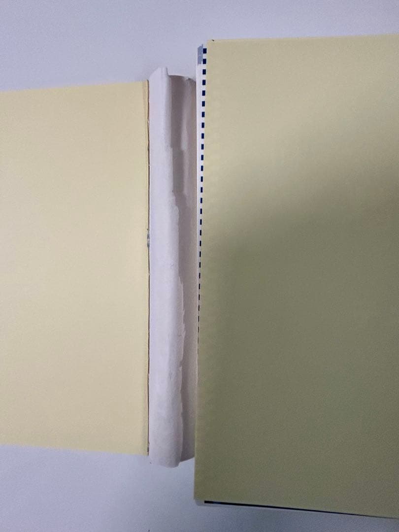 精神科専門医テキスト【裁断済】