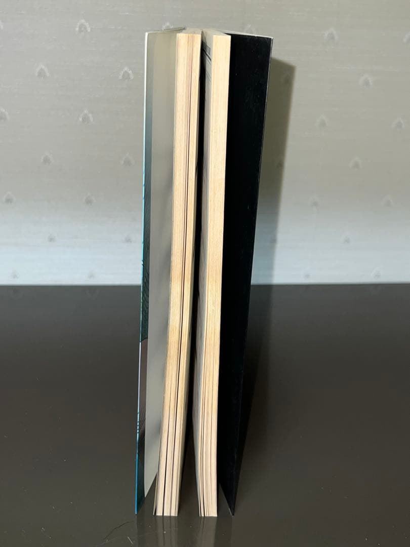 こ*う様 攻殻機動隊　押井守　絵コンテ集　本　DVD セット