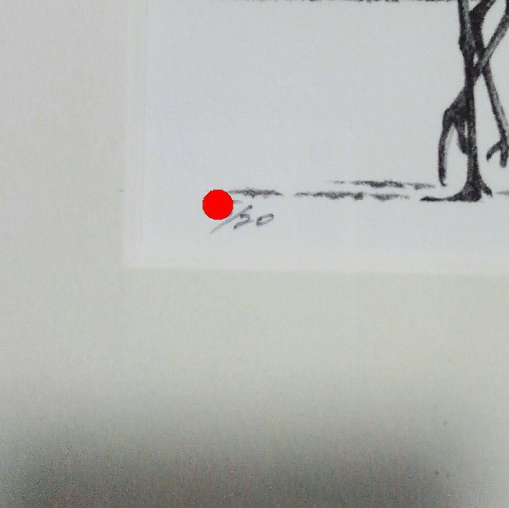 ガ*ン様 ジョウナイトウ リトグラフ 直筆サイン　①　✨２０枚限定の希少な作品✨