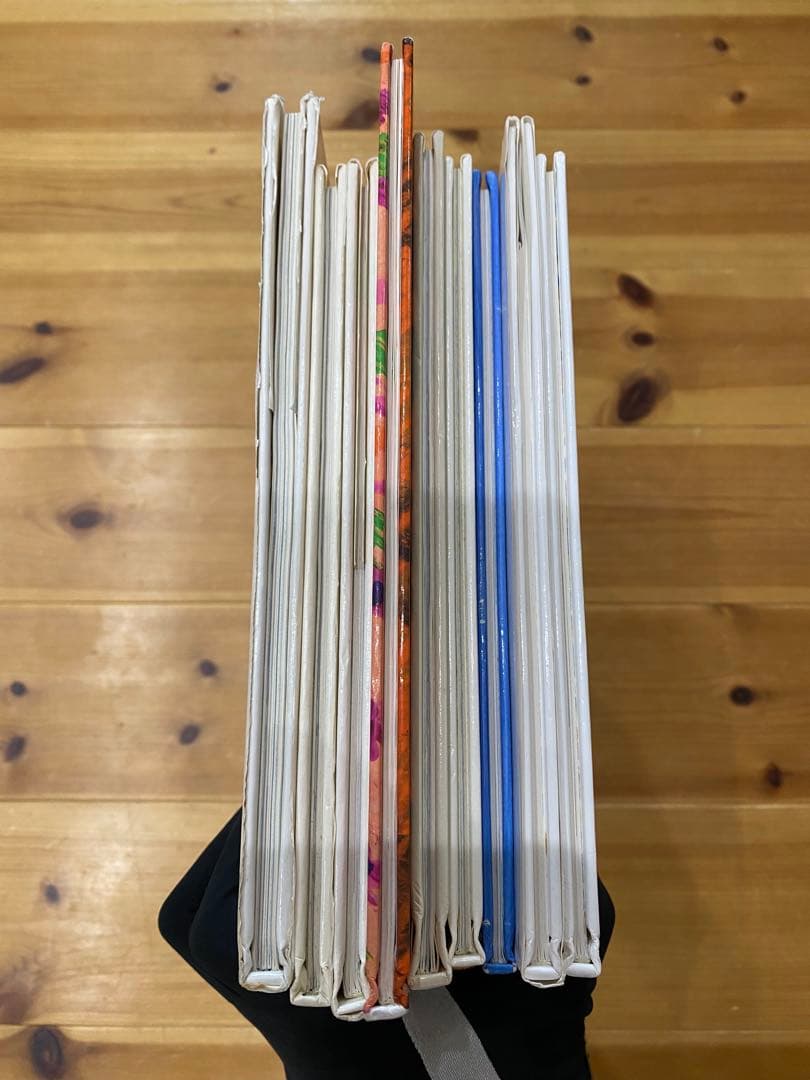 エリックカール　レオレオニ　絵本20冊セット