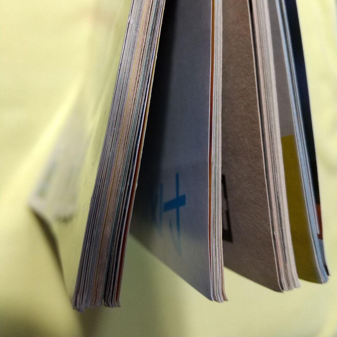 DVD【本田美奈子. 】書籍【果汁120パーセント】【DUNK】