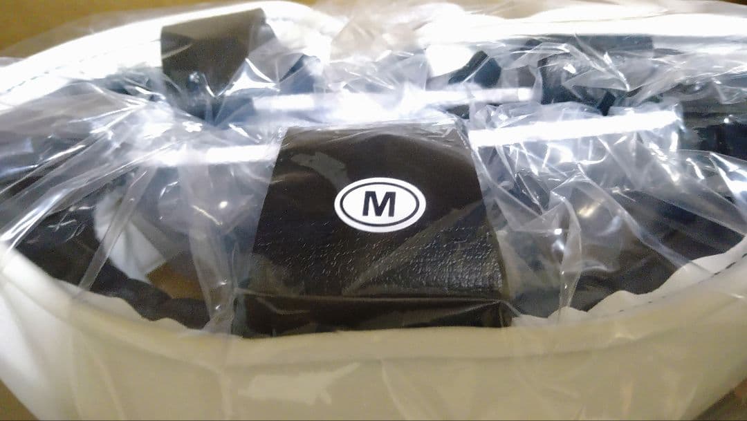 Winning FG-2900 ヘッドギア Mサイズ 　ホワイト