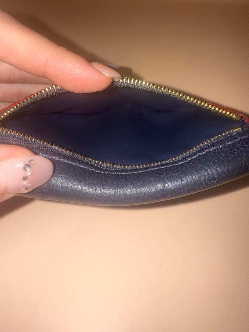 LOUIS VUITTON モノグラムアンプラント ウォレット　キーケース