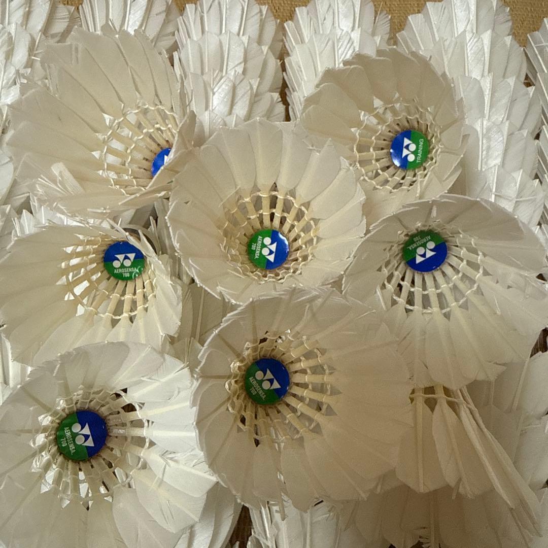 エアロセンサ700 中古シャトル 10本