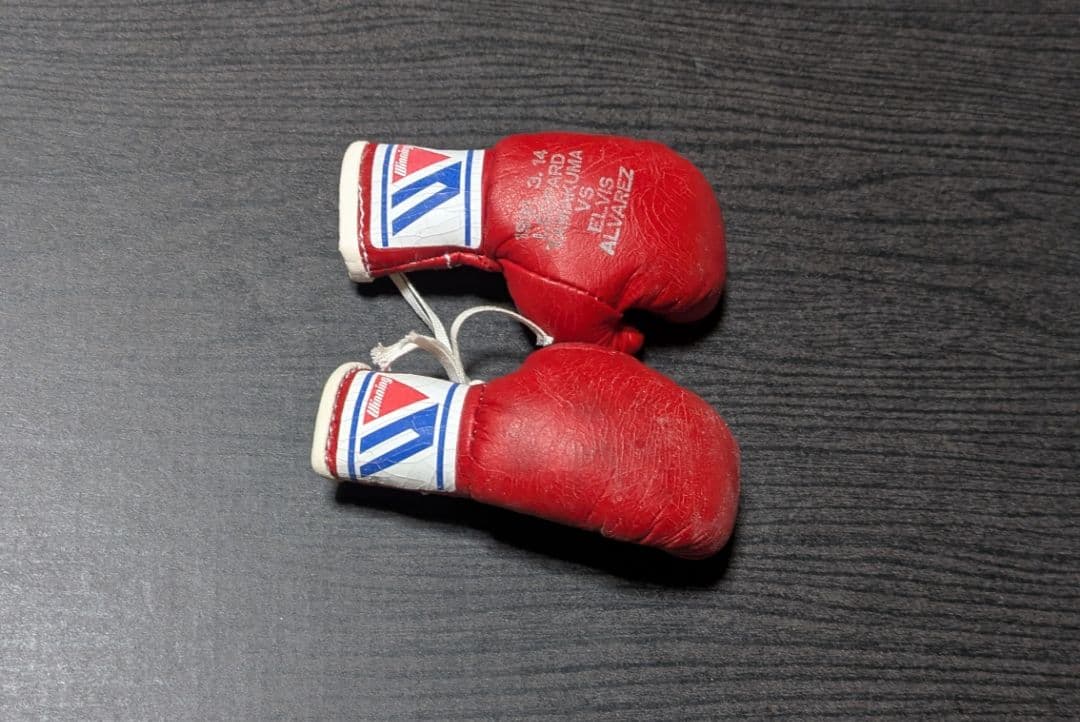 ボクシング マスコットグローブ レパード玉熊×アルバレス