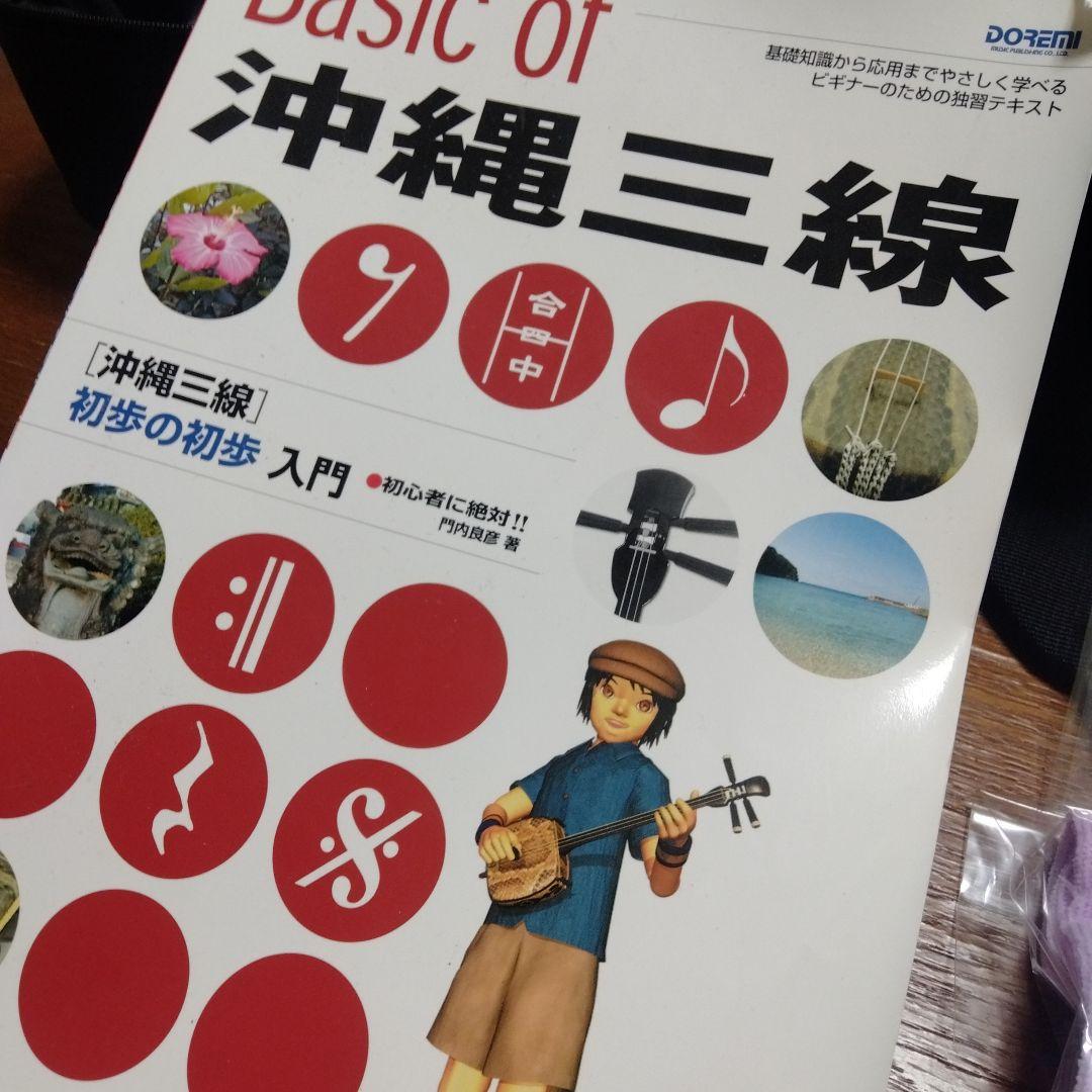 超美品　三線　人工蛇革　付属品多数 ケース付き