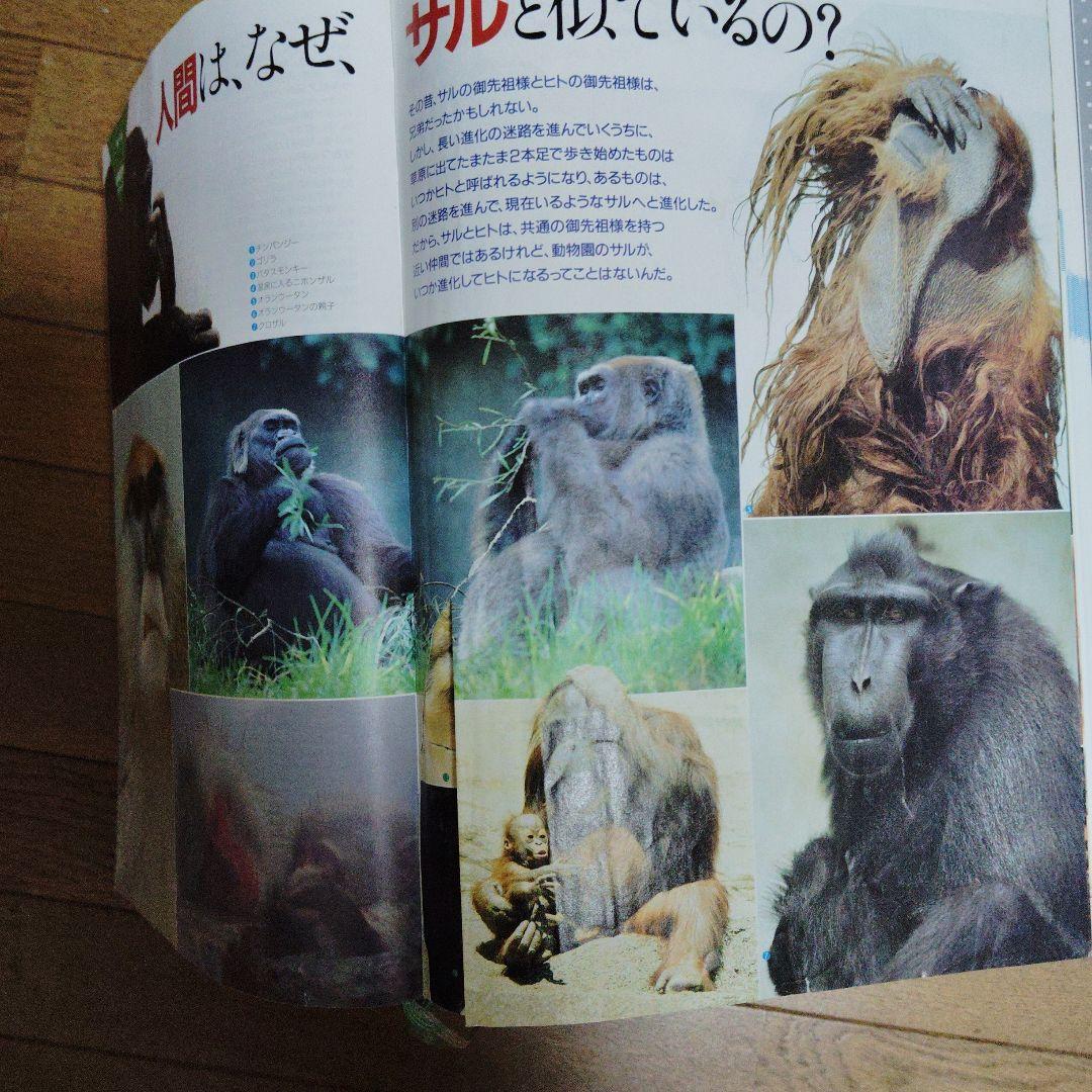 講談社 現代百科大事典「UNICADIA」全10巻セット