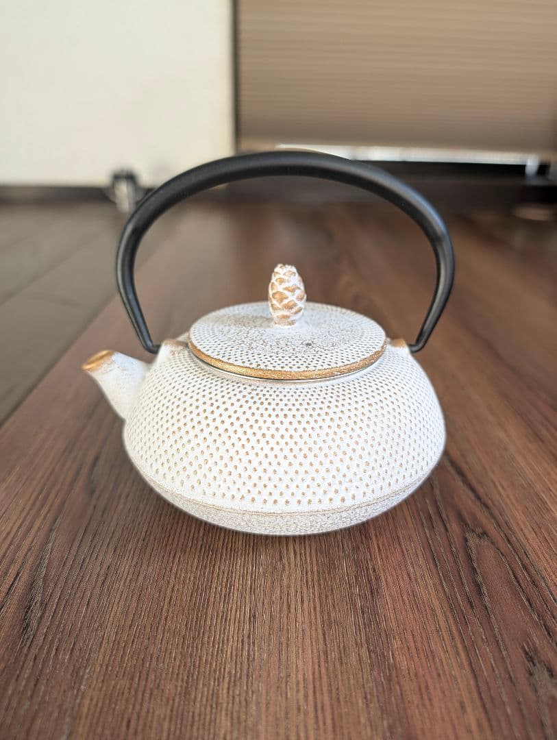 Roji（ロジアソシエイツ） 南部鉄器 急須 あられ