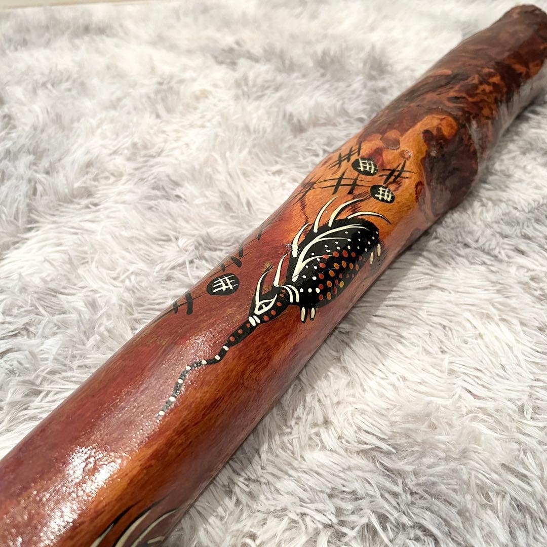 希少 イダキ 楽器 ディジュリドゥ 管楽器 オーストラリア