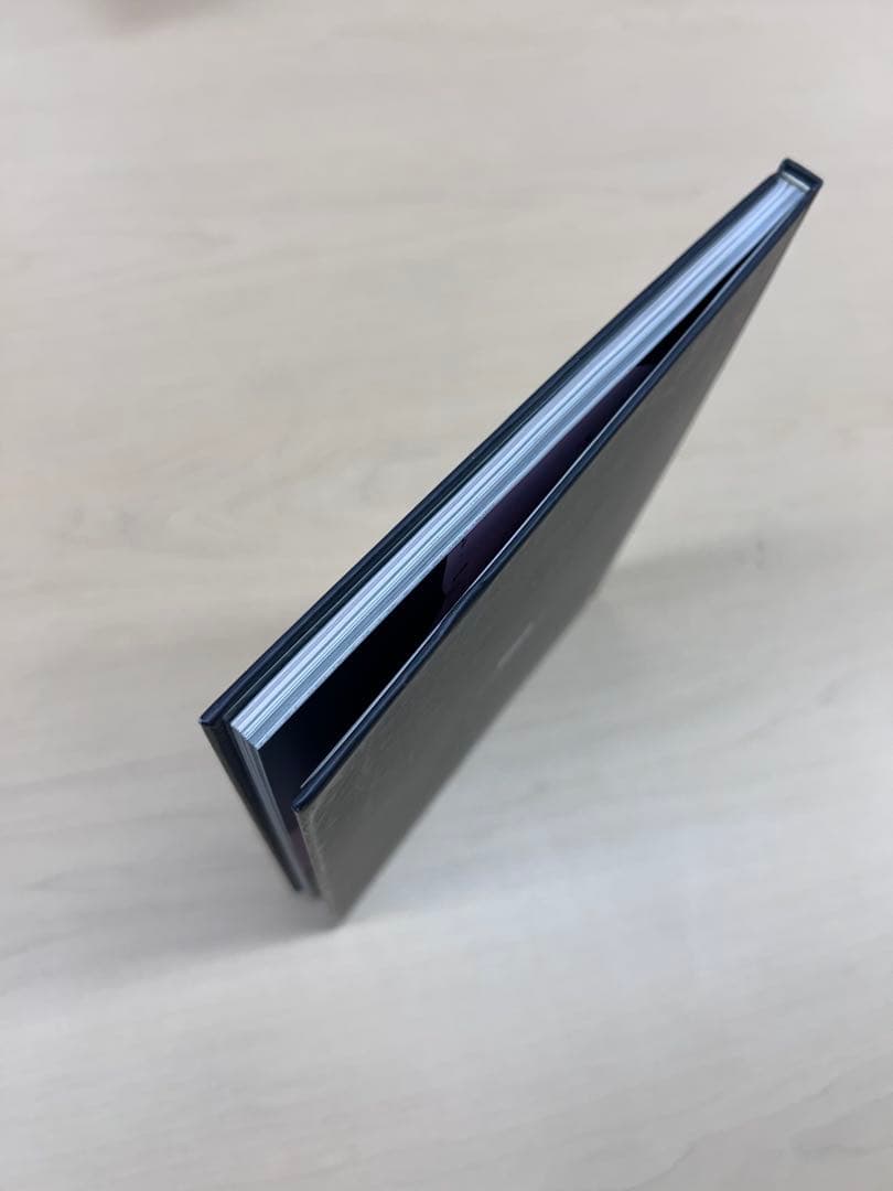 Trevor Brown「EVIL」1996 NGP 限定画集 サイン入り