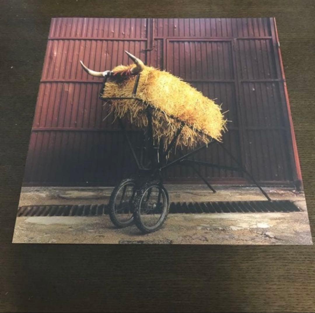 Mew Frengers レコード