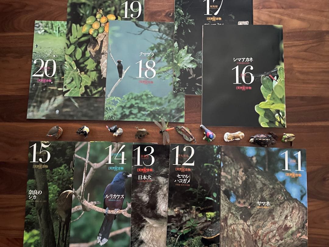 週間　日本の天然記念物　海洋堂　フィギュア付き全50巻　専用バインダー付き