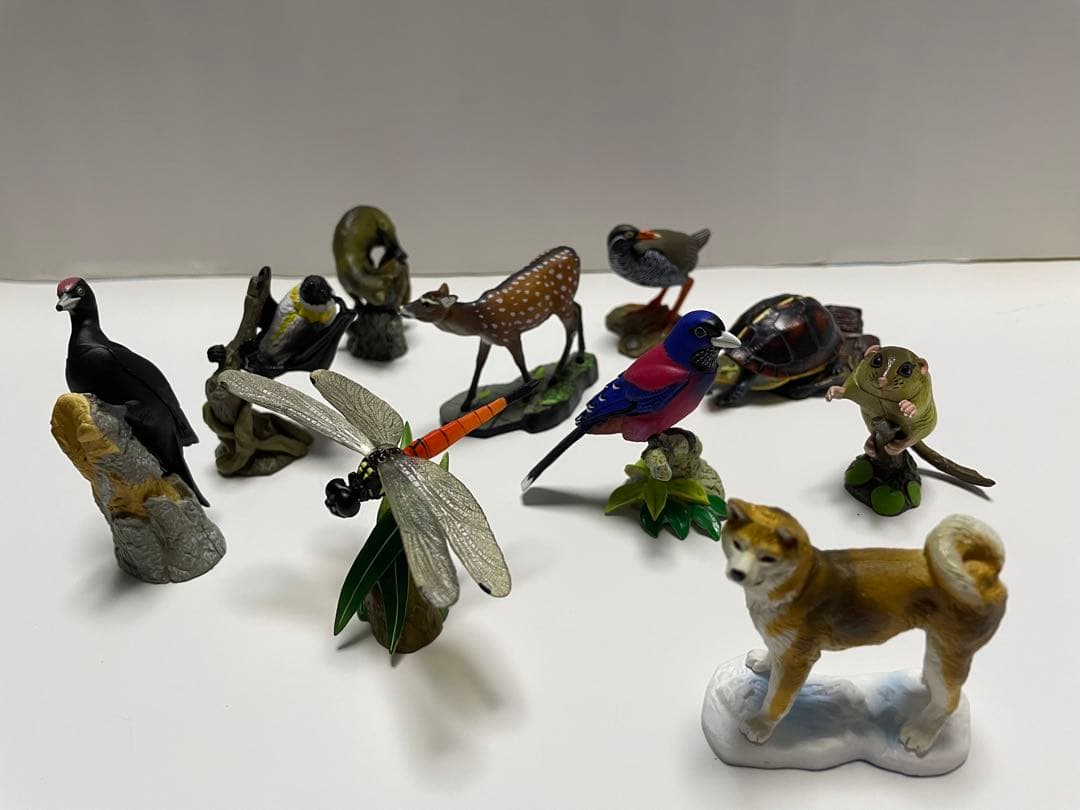 週間　日本の天然記念物　海洋堂　フィギュア付き全50巻　専用バインダー付き