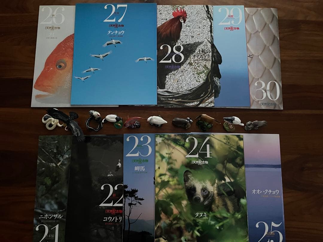週間　日本の天然記念物　海洋堂　フィギュア付き全50巻　専用バインダー付き