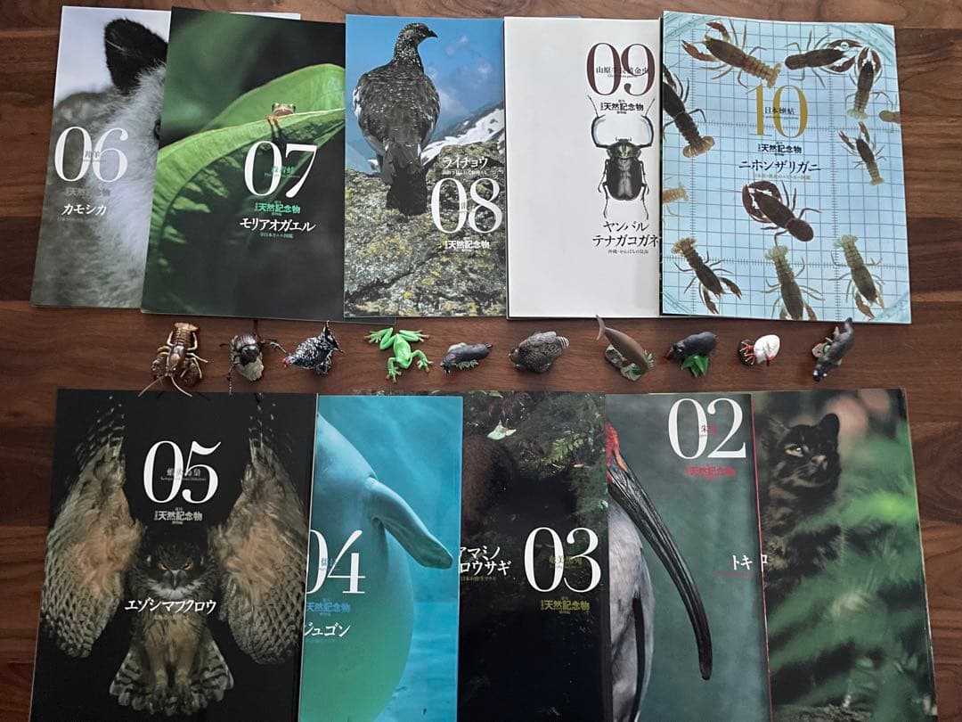 週間　日本の天然記念物　海洋堂　フィギュア付き全50巻　専用バインダー付き