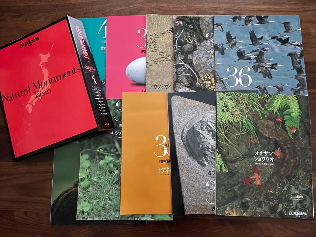 週間　日本の天然記念物　海洋堂　フィギュア付き全50巻　専用バインダー付き
