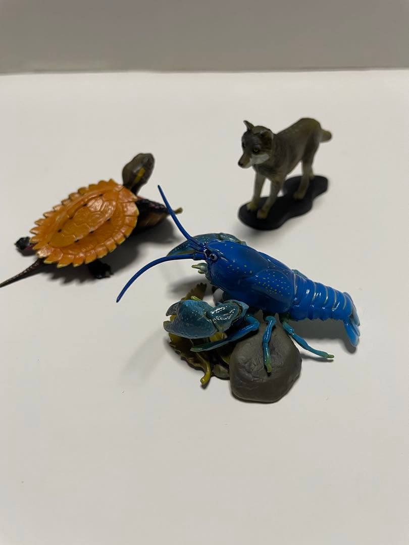 週間　日本の天然記念物　海洋堂　フィギュア付き全50巻　専用バインダー付き