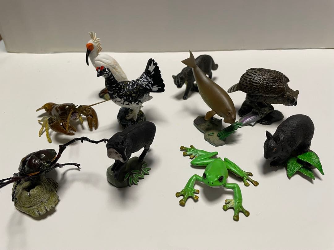 週間　日本の天然記念物　海洋堂　フィギュア付き全50巻　専用バインダー付き