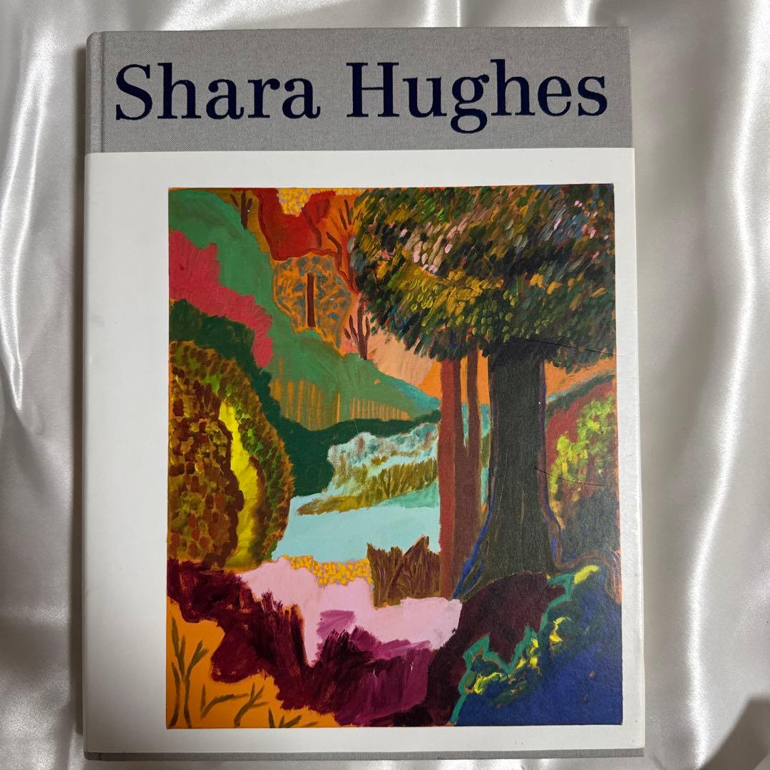 Shara Hughes 作品集