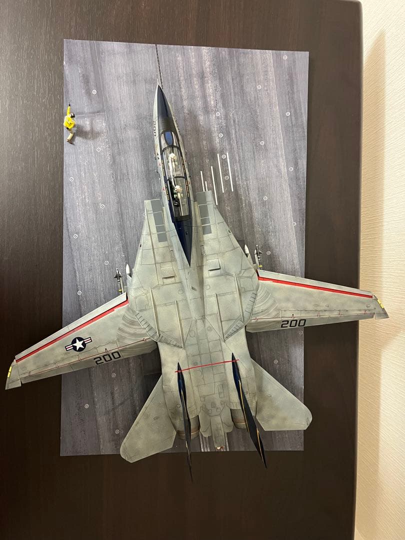 ⚓*⚓様 TAMIYA GRUMMAN F-14A トムキャットLATE MOD