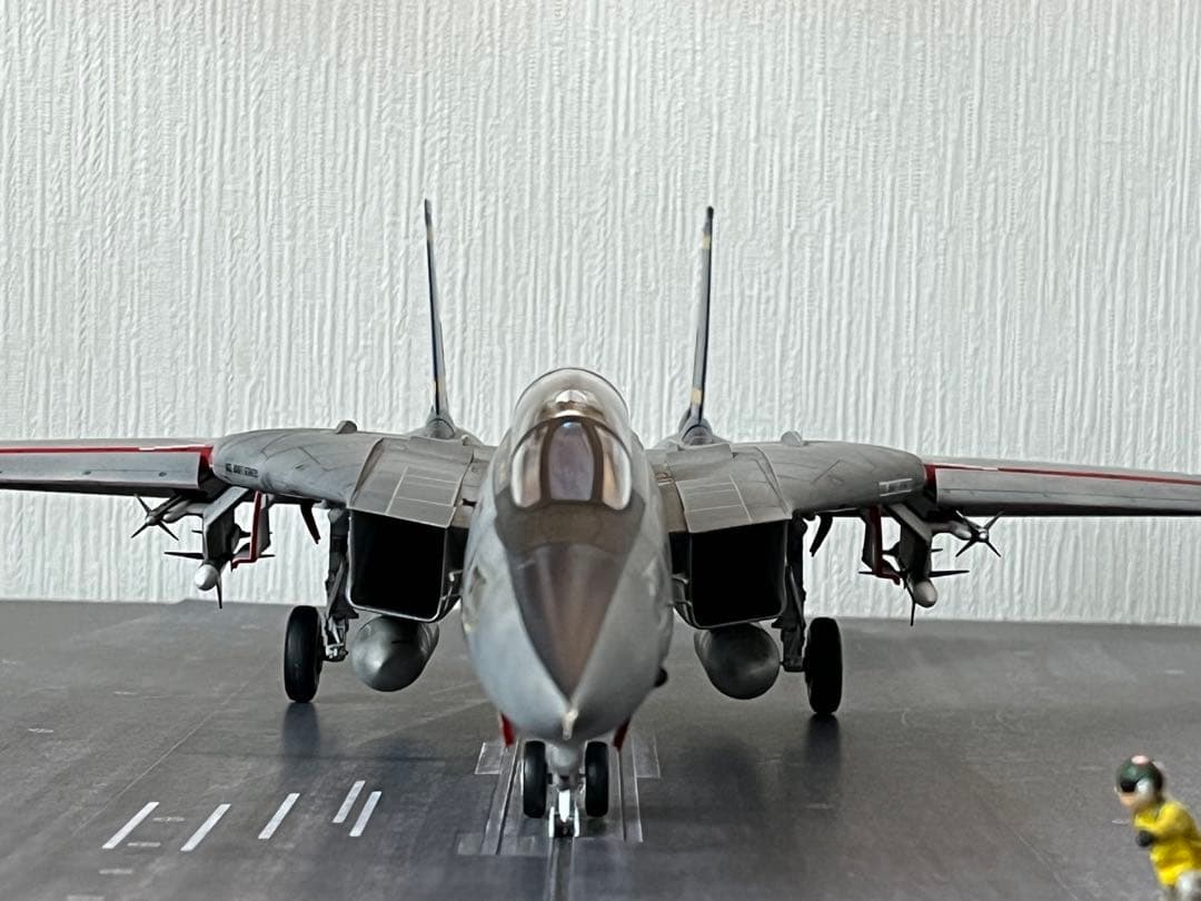 ⚓*⚓様 TAMIYA GRUMMAN F-14A トムキャットLATE MOD