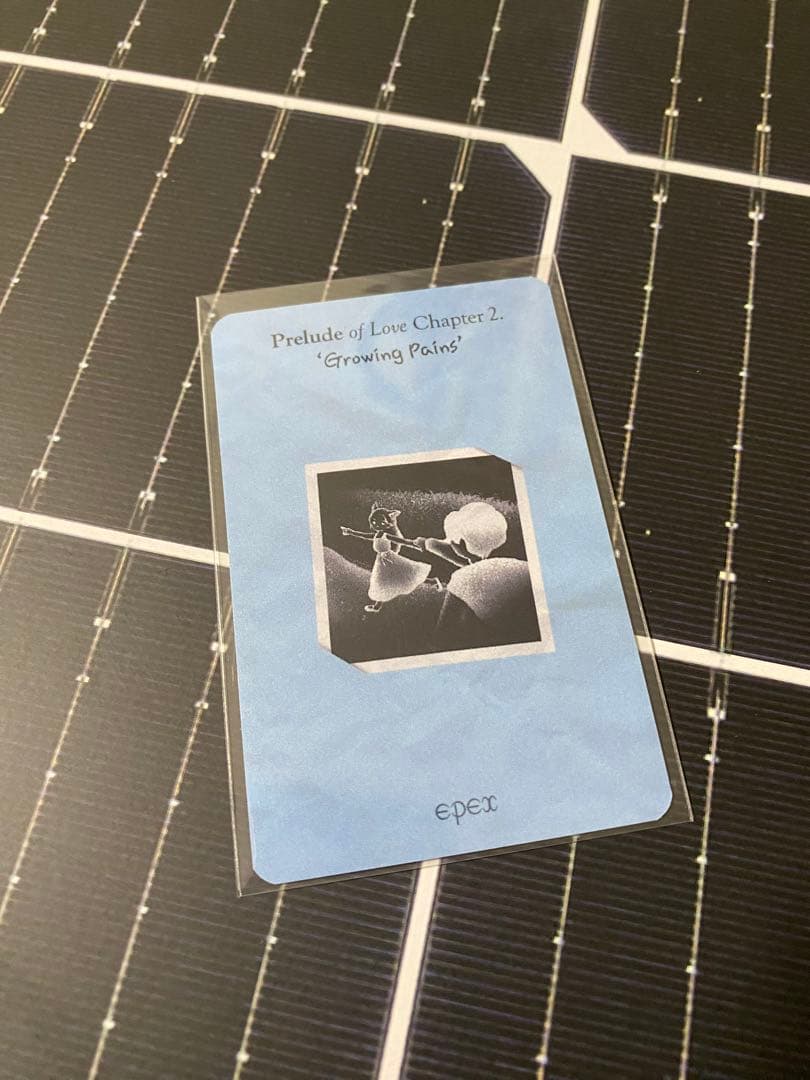 epex イェワン ペンカフェ トレカ