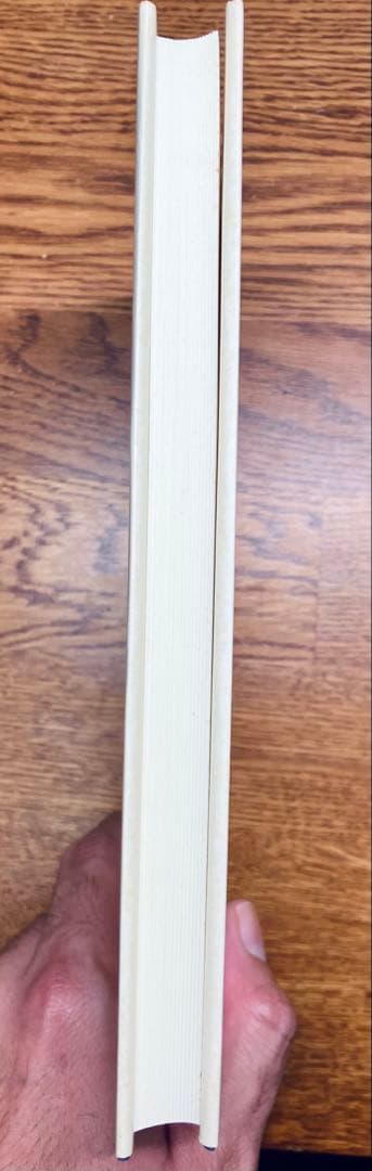 絶版本•未使用　フッサール『イデーン II‐I 構成についての現象学的諸研究』