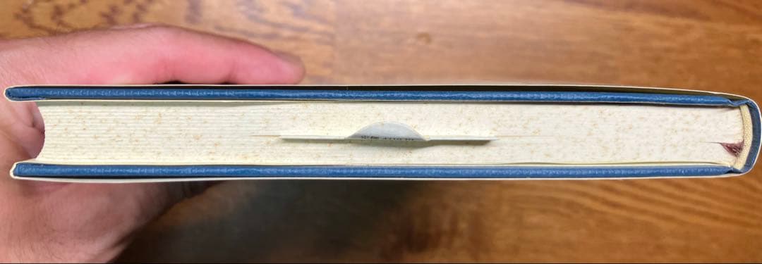 絶版本•未使用　フッサール『イデーン II‐I 構成についての現象学的諸研究』