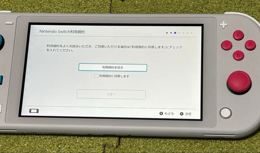 はむちゃむさま専用品