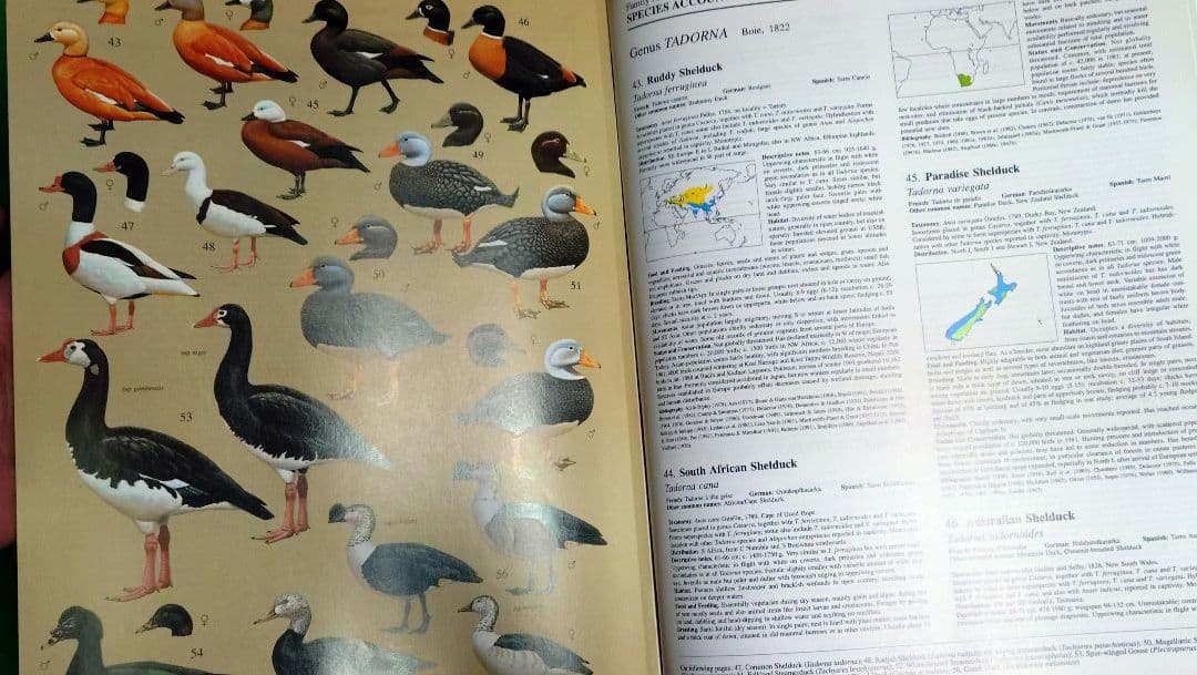 即購入禁 Handbook of the Birds of the World