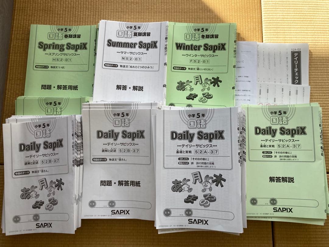 サピックスSAPIX 国語5年生一年間分テキストフルセット