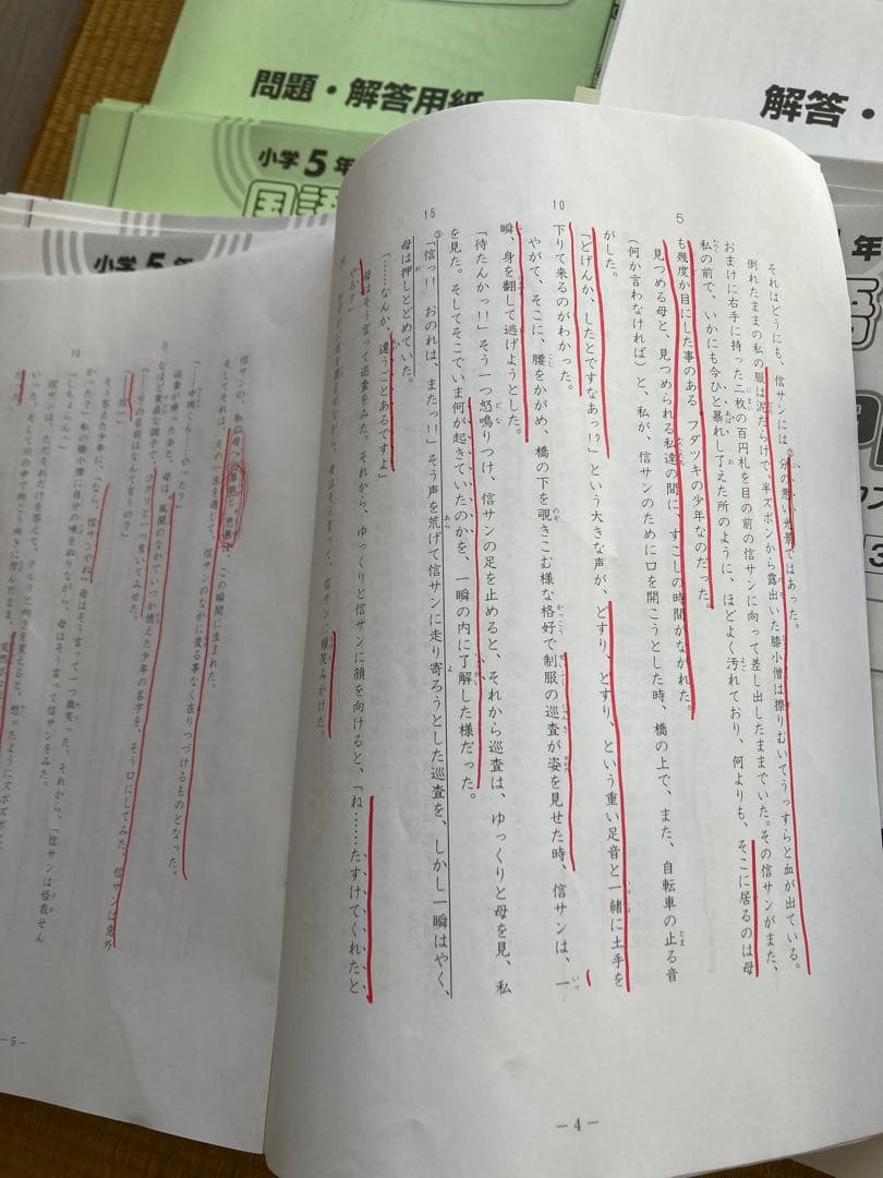 サピックスSAPIX 国語5年生一年間分テキストフルセット