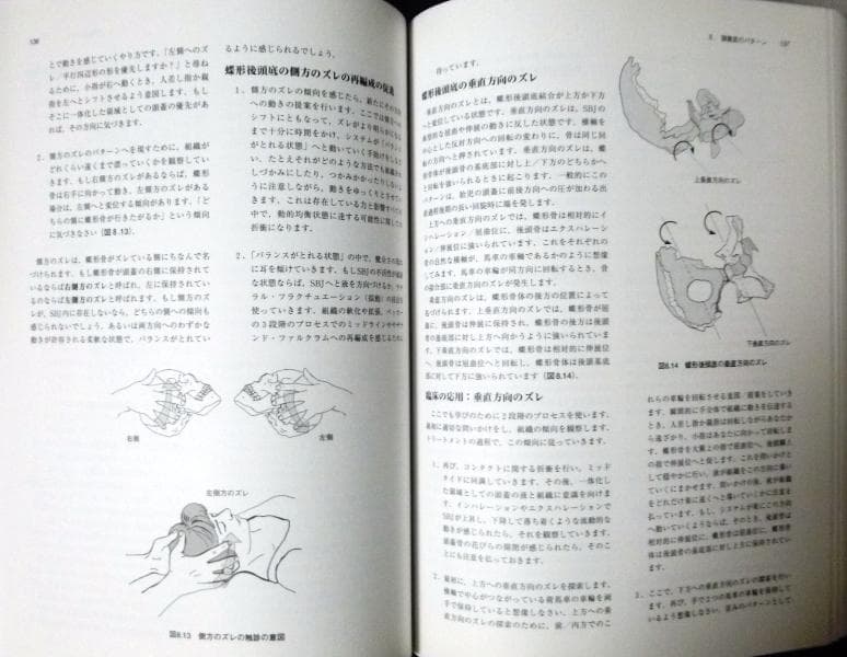 クラニオセイクラル・バイオダイナミクス ▼ VOL.1