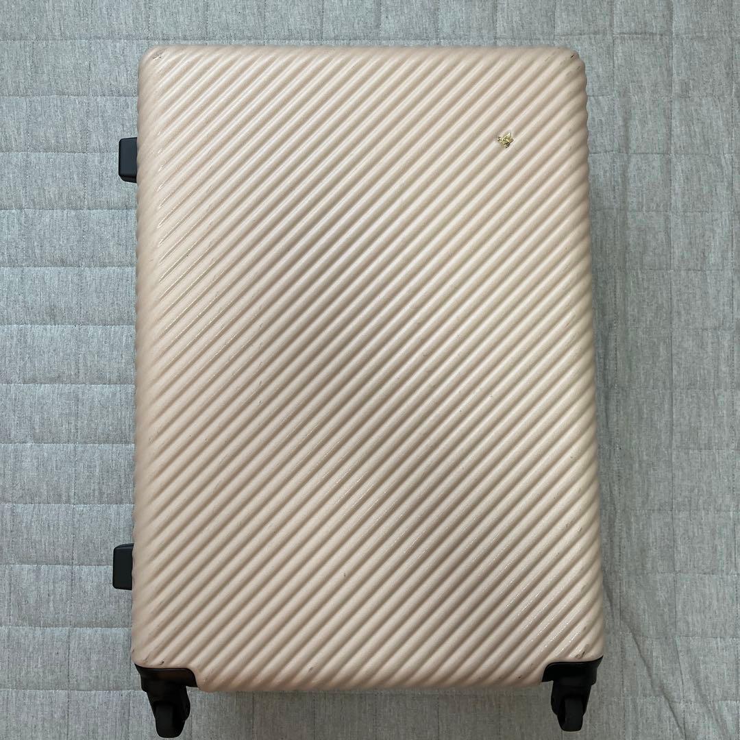 ACE HaNT マイン スーツケース 75L