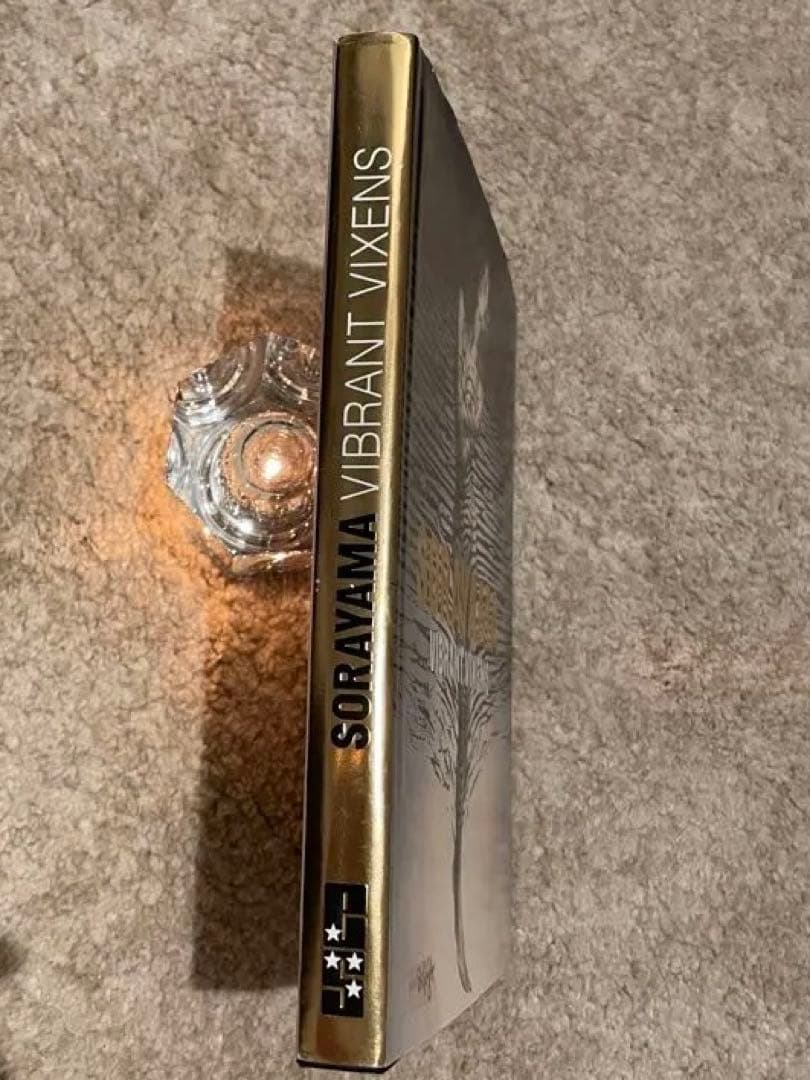 空山基　\"SORAYAMA VIBRANT VIXENS\"