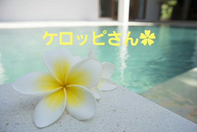 ホヌ ネックレス