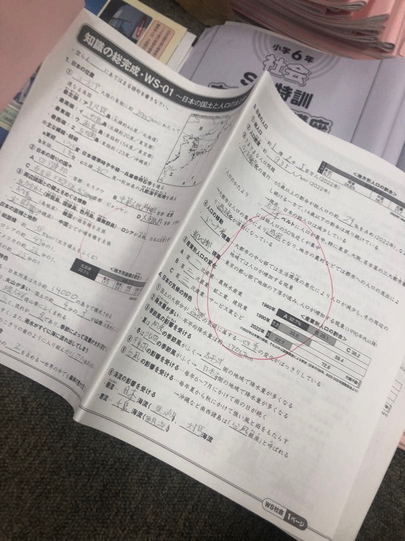 サピックス6年社会 デイリー春/夏/土特/日特/GS/夏集中　2025年受験