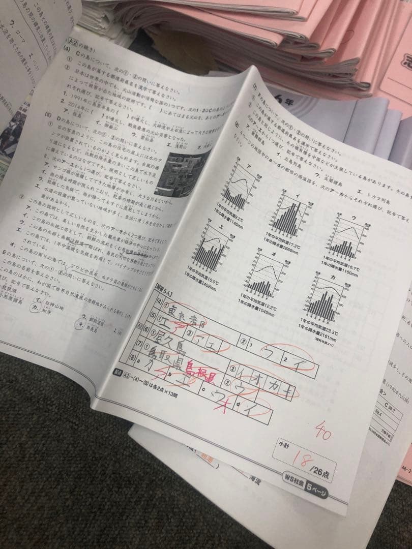 サピックス6年社会 デイリー春/夏/土特/日特/GS/夏集中　2025年受験